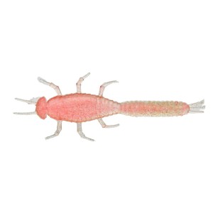 GUMA MAGIC ILLEX MAY FLY CORAL PINK 66MM