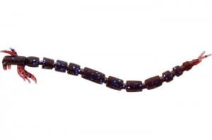 GUMA WESTIN BLOODTEEZ SWEET PLUM 7,5CM 1GR