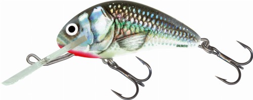 WOBLER SALMO HORNET 5 HOLO GREYSHINER FLOATING 5 CM 7 GR