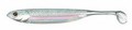 GUMA FISH ARROW FLASH J HUDDLE 1 #29 GHOST WAKASAGI/AURORA