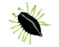 GUMA MAGIC ILLEX WOODLOUSE  WATERMELON W BLACK 30 MM