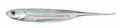 GUMA FISH ARROW 1` 105 MAWASHI SILLVER