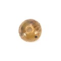 KORALIKI FOX EDGES TAPERED BORE BEADS 6MM CAMO