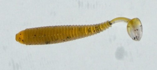 GUMA KONGER GRUBBER SHAD SKINNY 5CM KOLOR 015