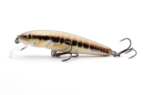 WOBLER SALMO MINNOW 7 MINNOW 7CM 8G TONĄCY