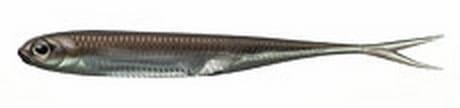 GUMA FISH ARROW FLASH-J SPLIT 3` #F07 WAKASAGI SILVER