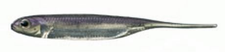 GUMA FISH ARROW FLASH-J 2` #25 LAKE WAKASAGI SILVER