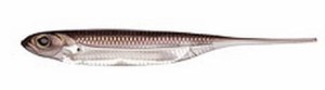 GUMA FISH ARROW FLASH-J 07 WAKASAGI SILVER