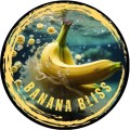POP UP RK BAITS BANANA BILSS 15MM 125ML