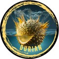 POP-UP DURIAN RK BAITS 12MM 125ML