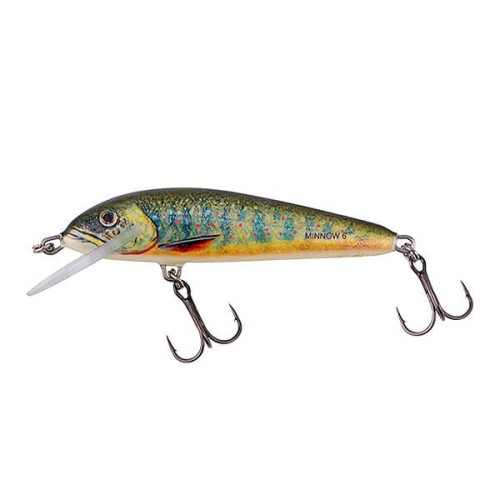 WOBLER SALMO MINNOW 5 LAKE CHARR PŁYWAJĄCY