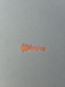 GUMA ROBAK Z OGONKIEM #1