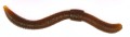 DENDROBENA 60 TROUT MASTER NATURAL UV 15SZT
