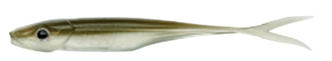 GUMA GUNKI KIDDY 76 NATURAL SMELT 7,6 CM