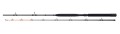 WĘDKA DAM SALMONIZER PLANNER 240CM M 20-35LBS