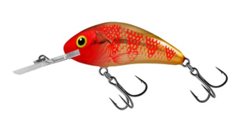 WOBLER SALMO RATTLIN'HORNET 5,5 GOLDEN RED HEAD FLOATING 5,5CM 10,5G