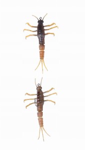 GUMA SAVAGE GEAR 3D TPE MAYFLY NYMPH 5CM 2.5G BROWN