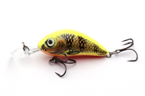WOBLER SALMO HORNET 5 GOLD FLUO PERCH FLOATING