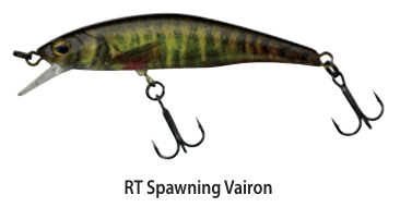 WOBLER ILLEX JACKALL TRICOROLL KNOCKER 70 SHW RT SPAWNING VAIRON
