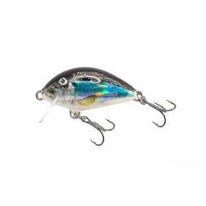 WOBLER SALMO TINY 3 HOLO SMELT PŁYWAJĄCY