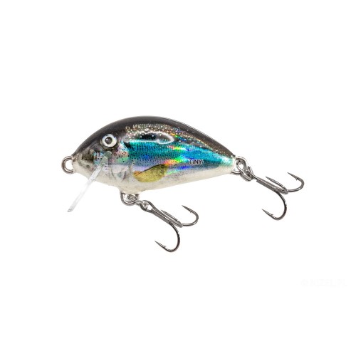 WOBLER SALMO TINY 3 HOLO SMELT PŁYWAJĄCY