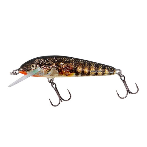 WOBLER SALMO MINNOW 5 HOLO STICKLEBACK TONĄCY