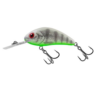 WOBLER SALMO RATTLIN'HORNET 3,5 GHOST PERCH PŁYWAJĄCY
