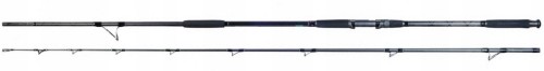 WĘDKA ROBINSON SILURO SPIN CATFISH LIFE BAIT 3,30M 100-350G