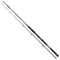 WĘDKA DAIWA SEALINE PILK 2,25M 100-250G
