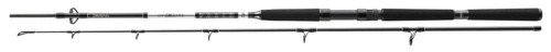 WĘDKA DAIWA BG BOAT 2,10M 150-400G