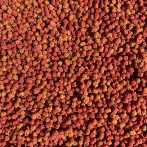 WIADRO FEEDER BAIT GOTOWY PELLET CZOSNEK ŚLIWKA 600G