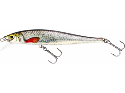 WOBLER WESTIN JERKBITE SR 17CM 47G SUSPENDING REAL ROACH