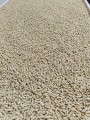 PELLET KUKURYDZIANY MR. GOLDEN CORN 6MM 5KG