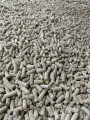 PELLET MR. GOLDEN CORN KUKURYDZIANY Z DODATKIEM KONOPI 6MM 5KG