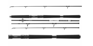 WĘDKA DAIWA BG TRAVEL PILK 2,40M 40-125G