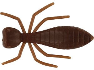 GUMA WESTIN TERMITE 3,2CM BROWN 8SZT GARLIC/CHEESE
